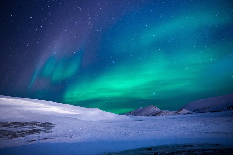 Aurora Allegiances